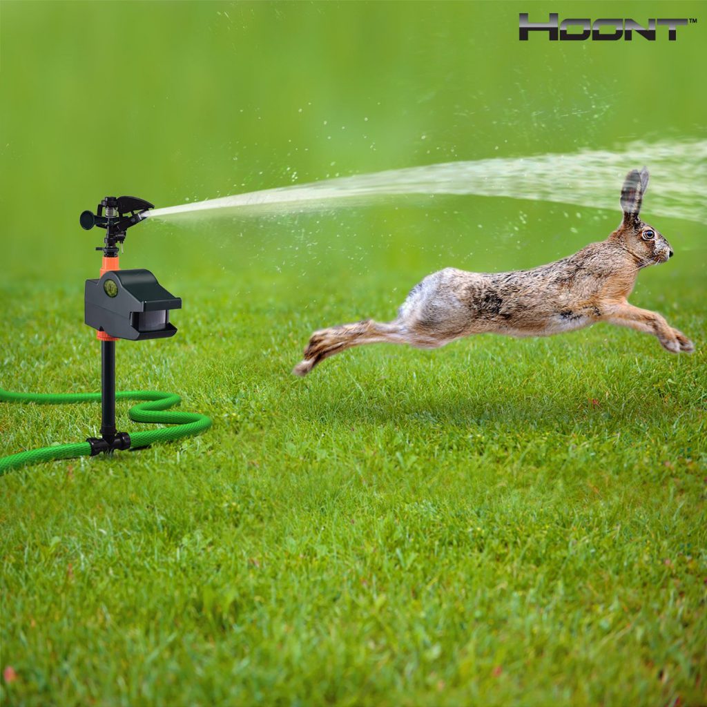 motion activated sprinkler for squirrels