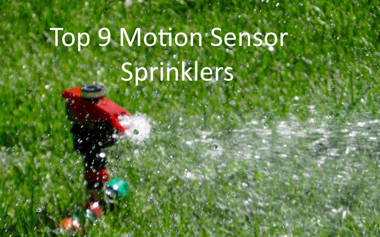 build motion activated sprinkler